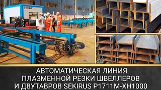 Плазменный труборез SEKIRUS P1711M-XH1000 для балки двутаврового профиля, швеллера и уголка